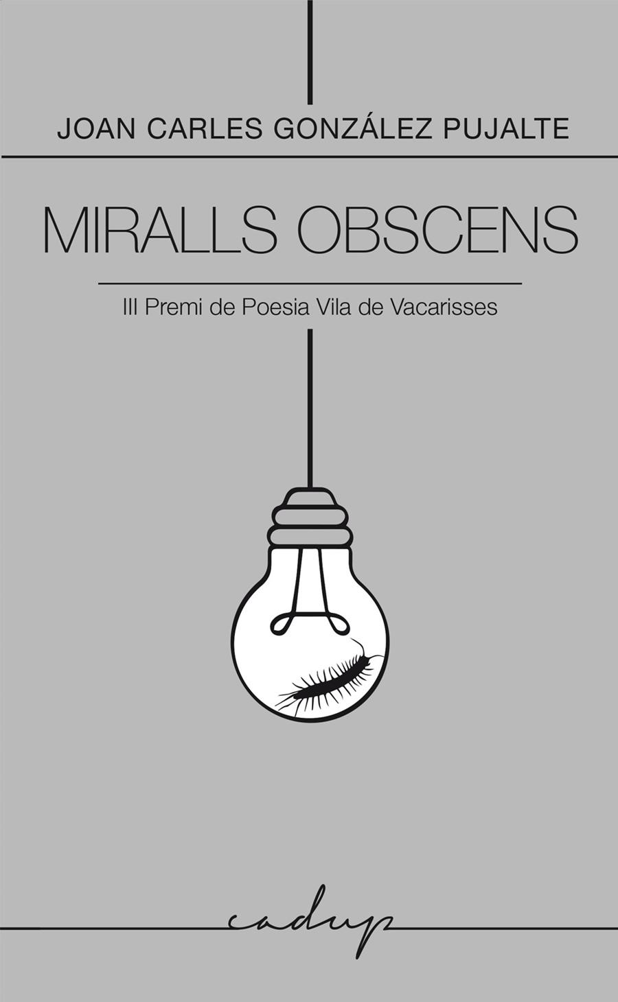 Miralls obscens | 9791399177077 | González Pujalte, Joan Carles