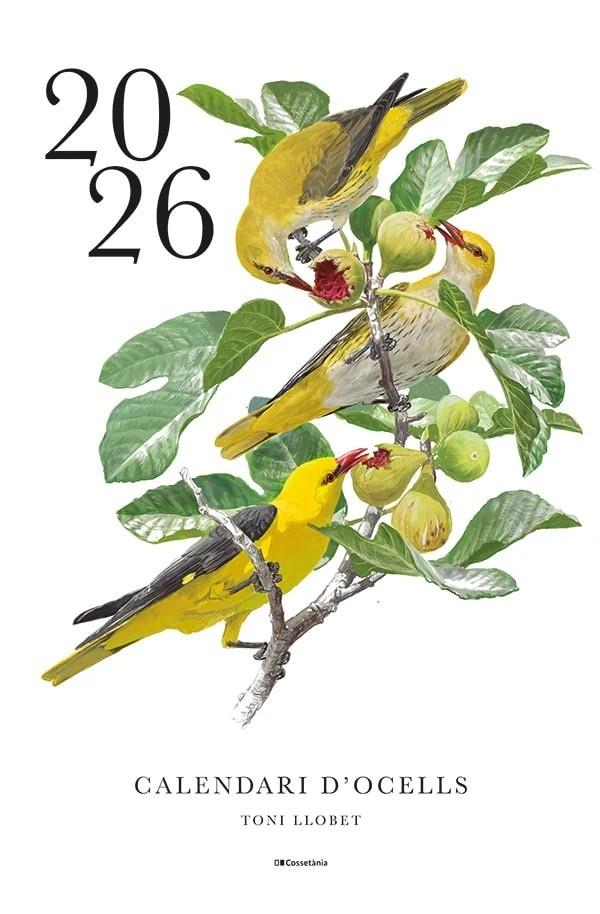 Calendari d'ocells 2026 | 9788413565255 | Llobet, Toni
