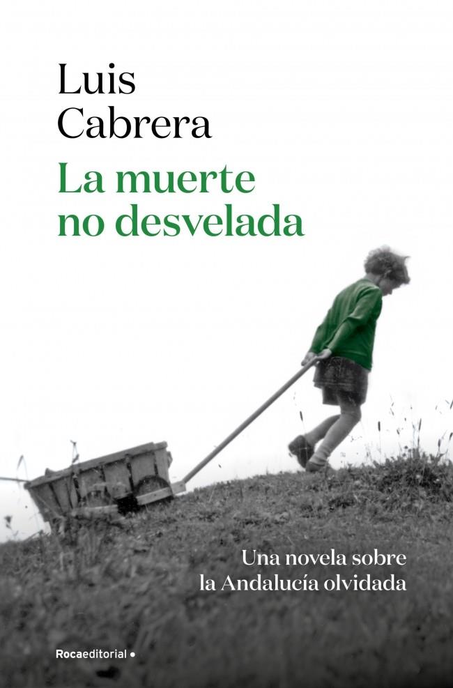 Muerte no desvelada, la | 9788410274402 | Cabrera, Luis