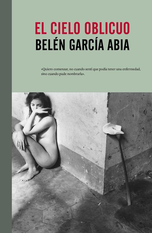 Cielo oblicuo, el | 9788415217930 | García Abia, Belén