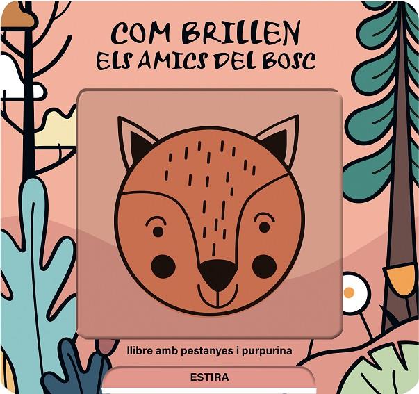 Com brillen els amics del bosc | 9791399079128 | de Haan, Lieve