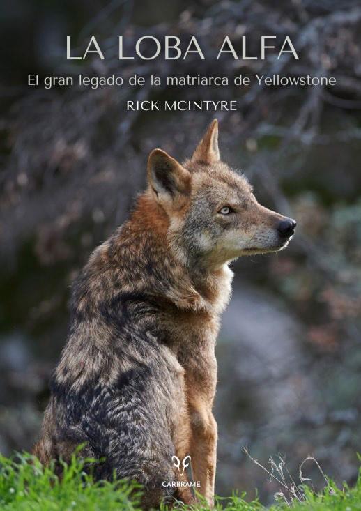 LOBA ALFA , LA | 9788412949001 | MCINTYRE, RICK