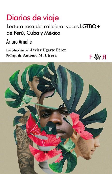 Diarios de viaje. Lectura rosa del callejero. Voces LGTBQ+ | 9788412782875 | ARNALTE, ARTURO