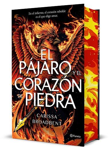 Pájaro y el corazón de piedra, el (Reinos de Nyaxia 3. Edición Deluxe) | 9788408314288 | Broadbent, Carissa