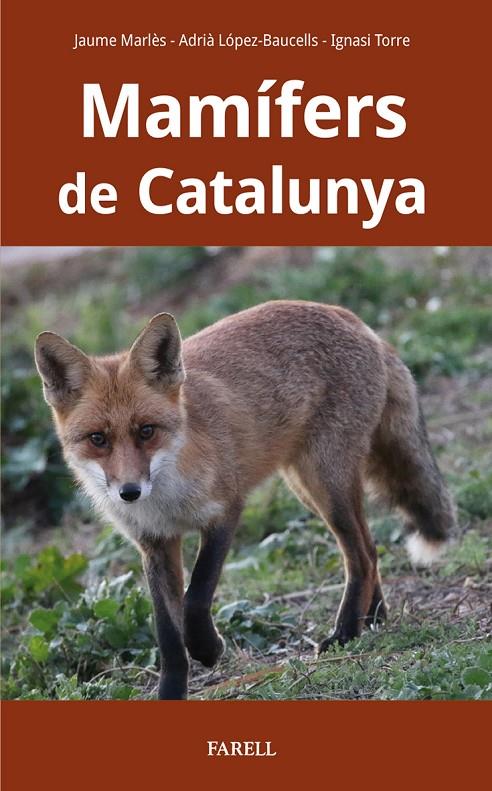 Mamífers de Catalunya | 9788417116927 | Marles Magre, Jaume / Lopez-Baucells, Adria/Torre Corominas, Ignasi