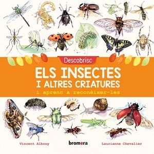 Descobrisc els insectes i altres criatures i aprenc a reconéixer-les | 9788490269169 | Albouy, Vincent