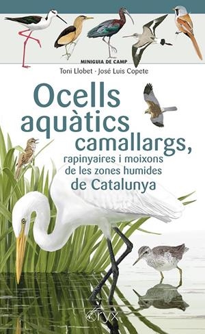 Ocells aquàtics camallargs, rapinyaires i moixons de les zones humides de Catalu | 9788413564746 | Copete, José Luis
