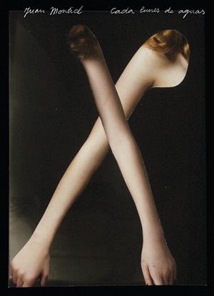 Cada lunes de aguas | 9788419737397 | Montiel Gálvez, Juan José