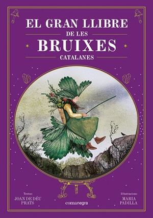 Gran llibre de les bruixes catalanes, el | 9788410161337 | Prats, Joan de Déu/Padilla, Maria