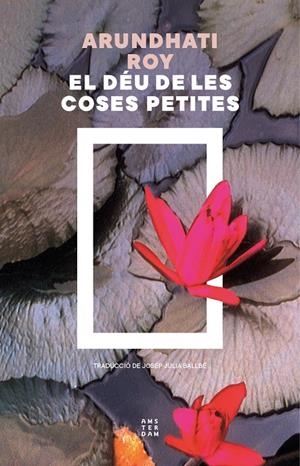 Déu de les coses petites, el | 9788419960436 | Roy, Arundhati