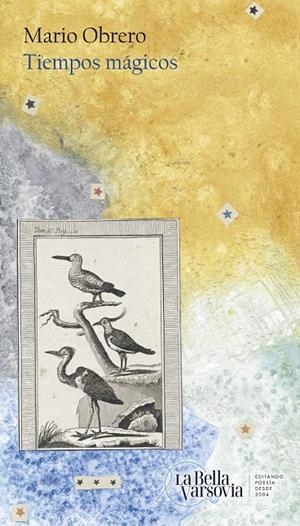 Tiempos mágicos | 9788433922946 | Obrero, Mario