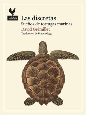 Discretas, las | 9788419168986 | Grémillet, David