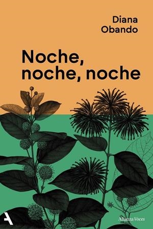 Noche, noche, noche | 9791370093235 | Obando, Diana