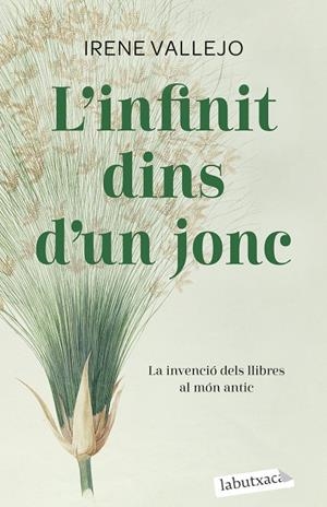 Infinit dins d'un jonc, l' | 9788419107121 | Vallejo, Irene